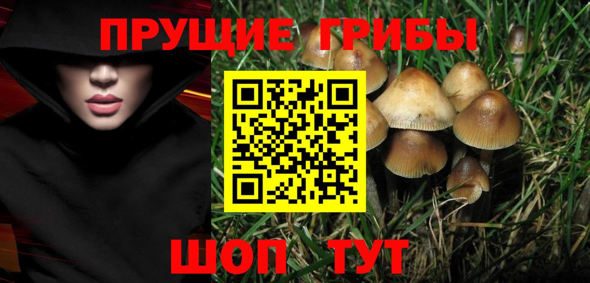 Галлюциногенные грибы ЛСД Батайск